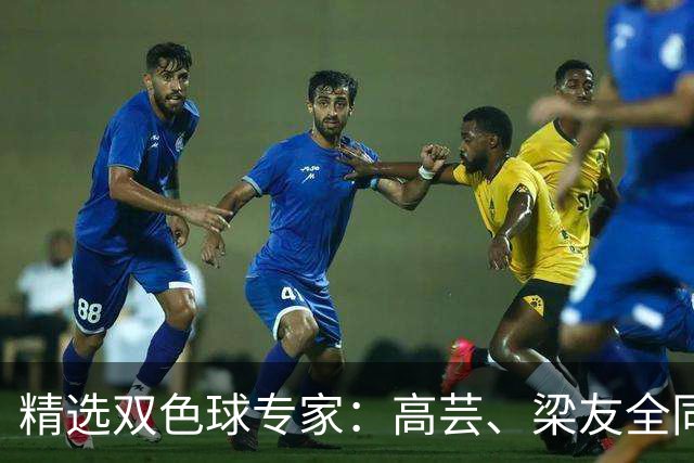 精选双色球专家：高芸、梁友全同中二等279万！
