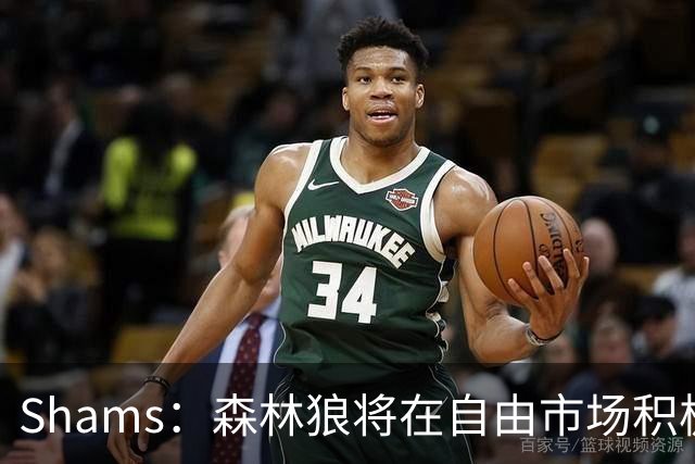 Shams：森林狼将在自由市场积极补强4号位 但他们只能提供底薪